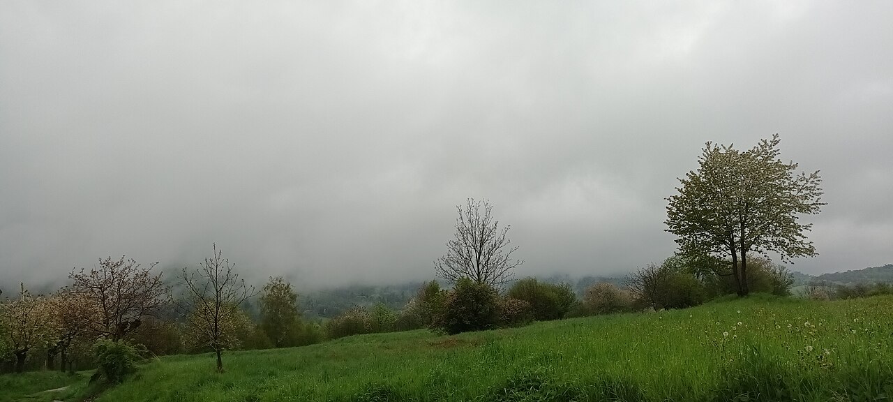 Krajina Šumavy — les a louka, typické místo, kde láká přespat pod širákem